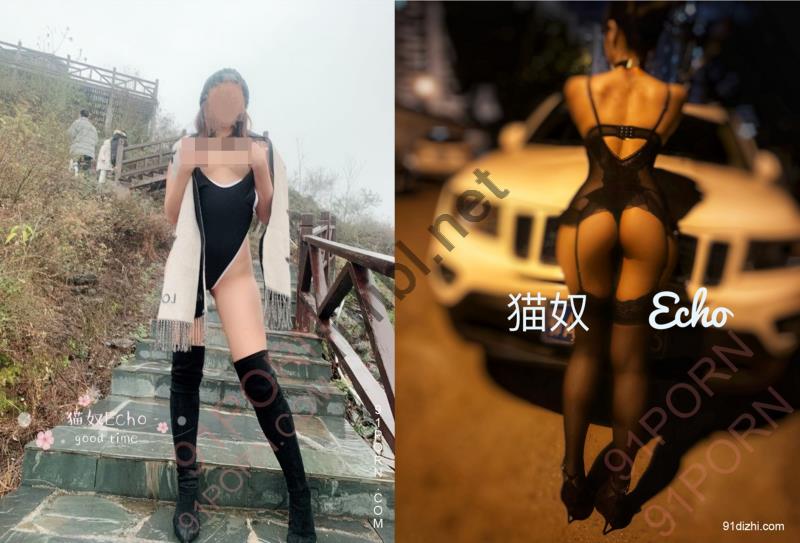 91高人气网红@武汉猫奴19套作品合集[941P/352M]