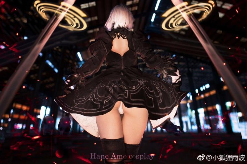 微博网红coser@HaneAme雨波作品50套合集[1194P/637M]